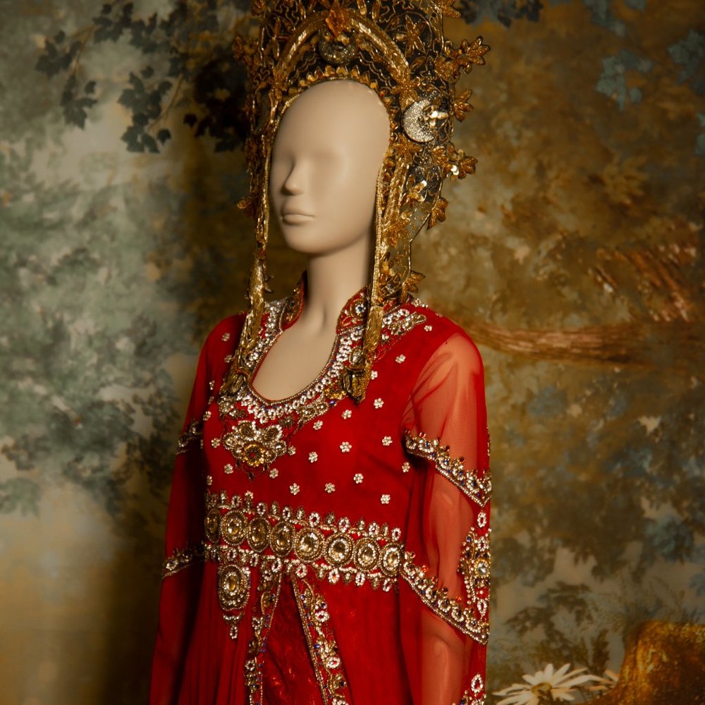 Hindi Indian south Asian wedding  fantasy red gold  dress encrusted with jewels - Picture 3 of 16